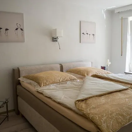 Am Rheinsteig Apartmán *