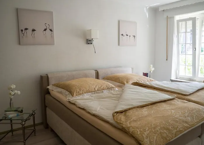 Am Rheinsteig דירה *